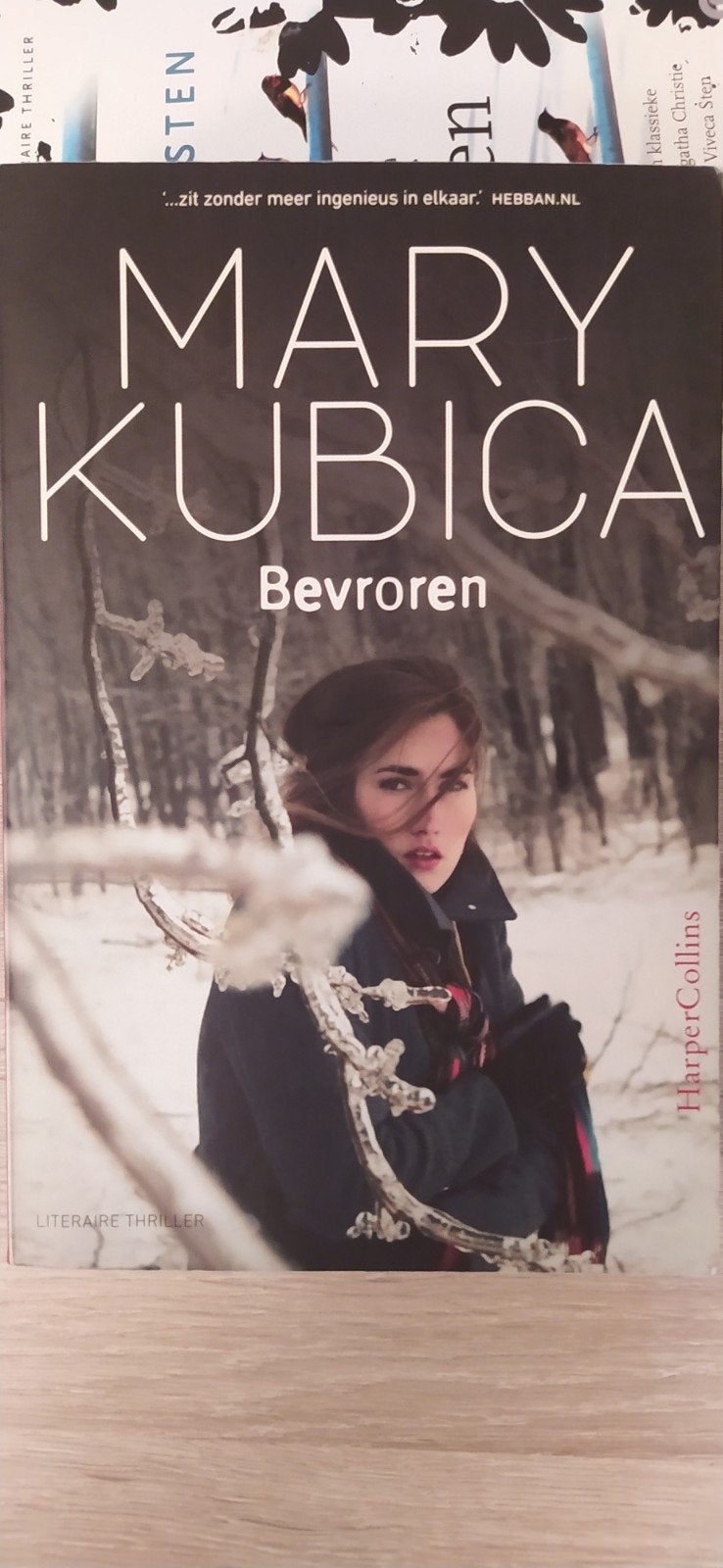 Bevroren - Mary Kubica (Literaire Thriller), Boeken, Mary Kubica, Ophalen of Verzenden, Zo goed als nieuw, Amerika