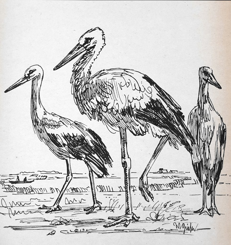 Mooie, betaalbare kunst v/h Grafiekkabinet Wilhelm Giese, Verzenden
