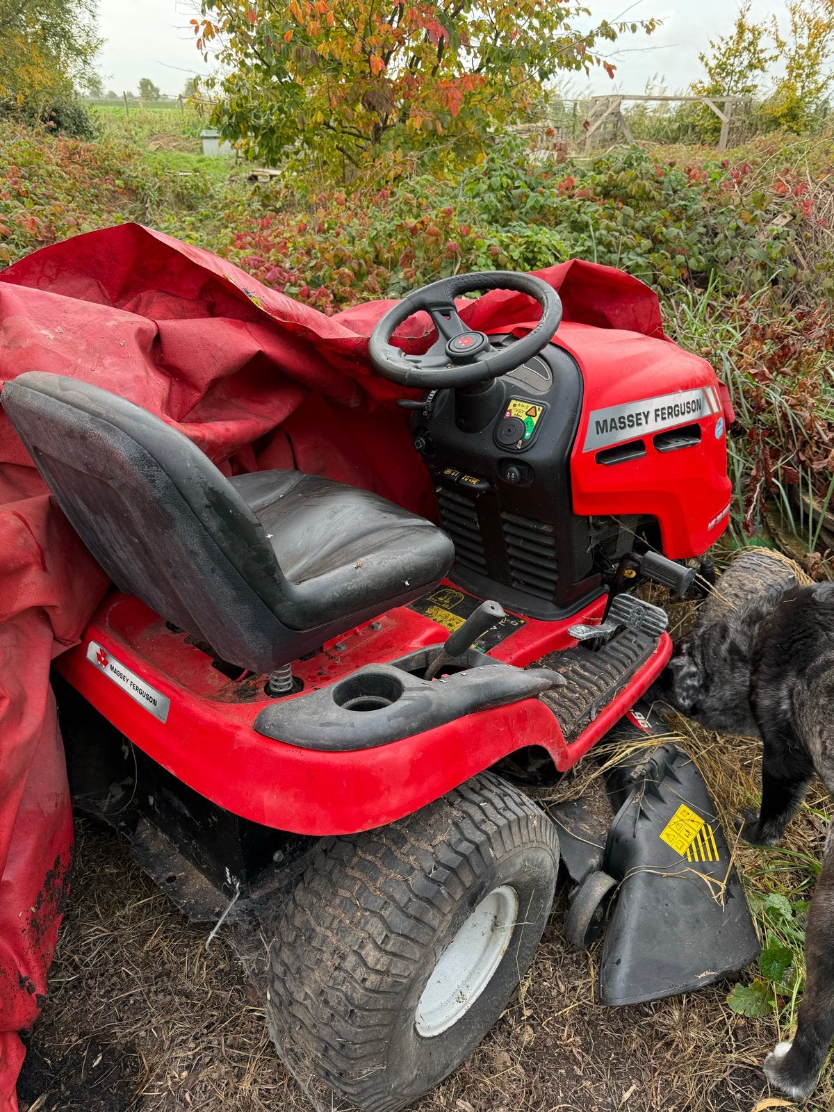 Massey Ferguson Zitmaaier - MF 38-15SD, Cirkelmaaier, Gebruikt, Ophalen of Verzenden, Opvangbak