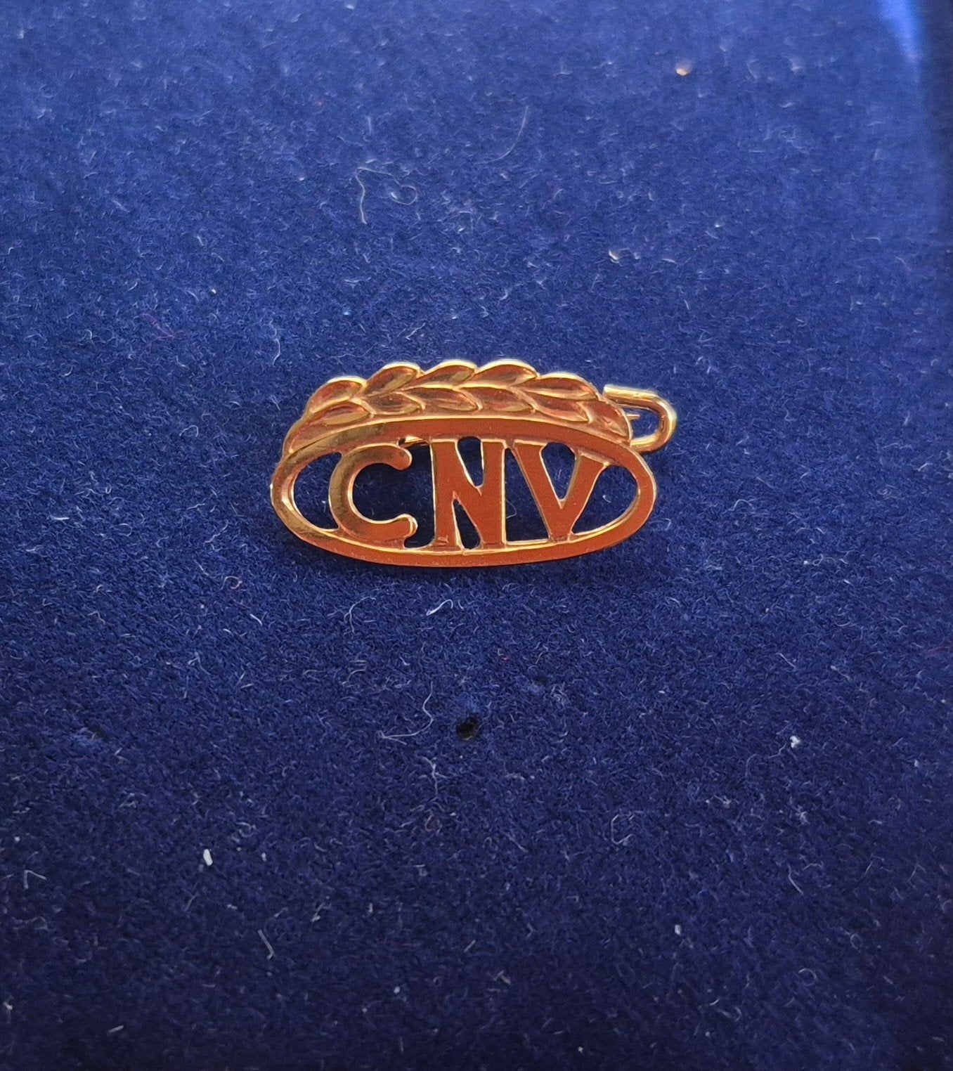 Gouden jubileum speld (14k) CNV, Gebruikt, Minder dan 4 cm, Ophalen of Verzenden, Goud
