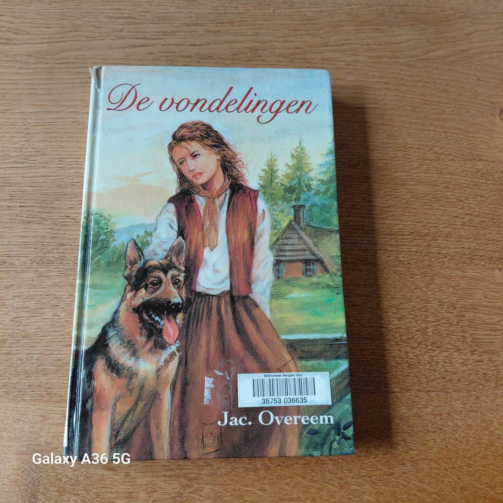 De vondelingen - Jac. Overeem (Boek), Ophalen of Verzenden, Gelezen, Jac. Overeem, Nederland