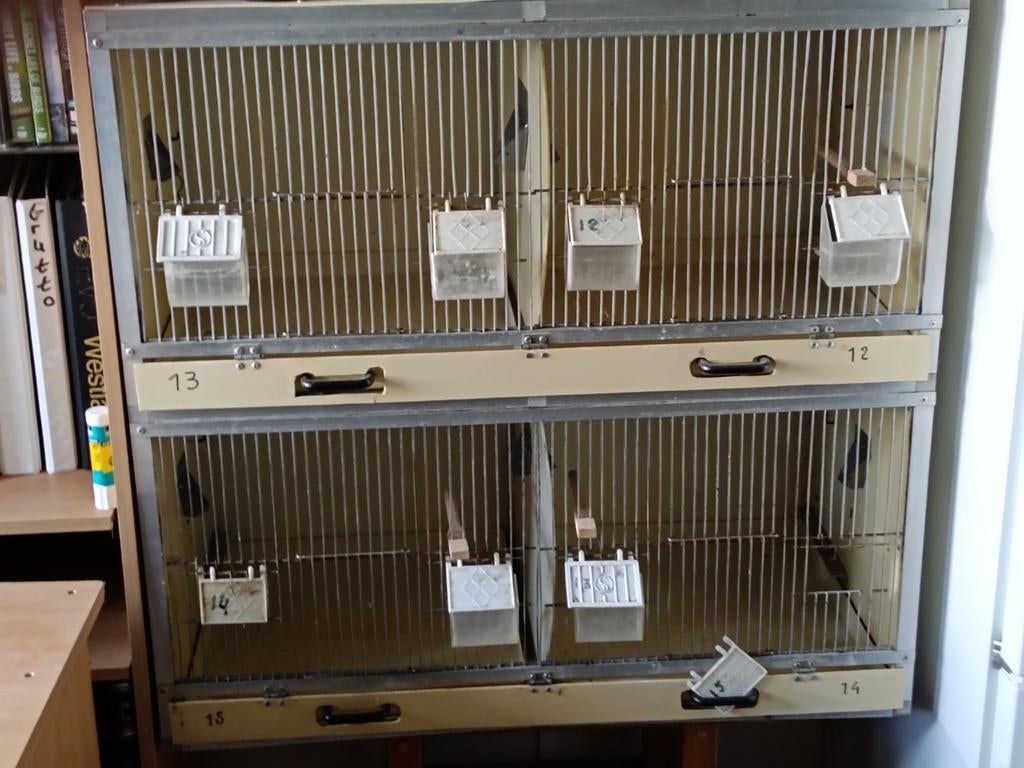 Broedkooi (4) voor kweekvogels, Dieren en Toebehoren, Vogels | Hokken en Kooien, Ophalen, Gebruikt, Kunststof, Broedkooi of Kweekkooi