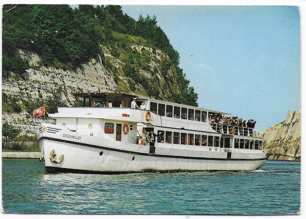 MS De Geulvallei Zonnebloem gelopen Ansichtkaart (B2701), Ophalen of Verzenden, 1980 tot heden, Gelopen, Zuid-Holland