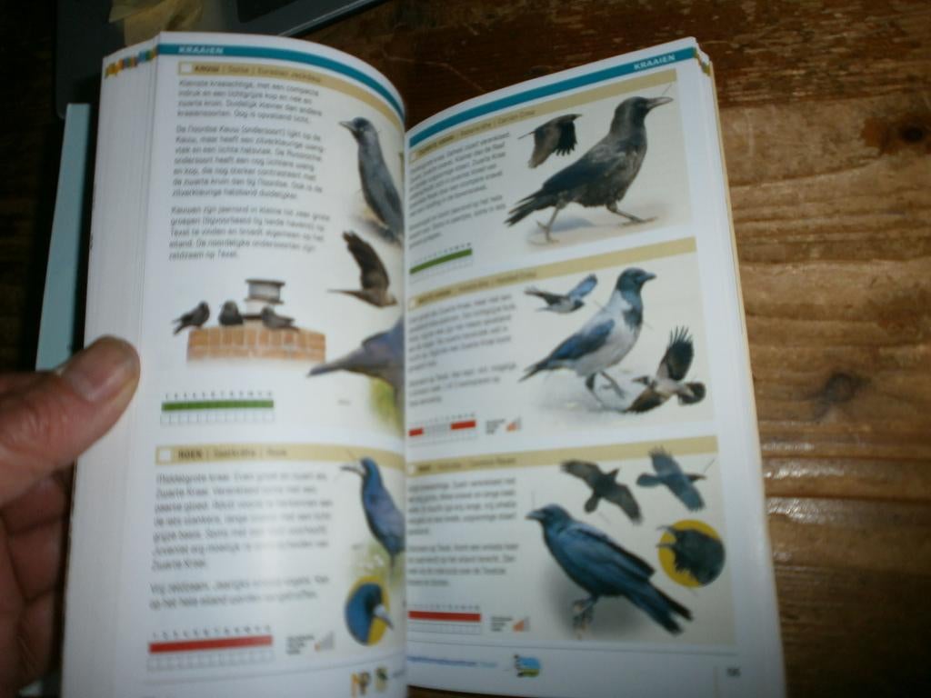 vogels van texel vogelgids 400+ vogelsoorten met afbeelding, Ophalen of Verzenden, Nieuw, Overige onderwerpen