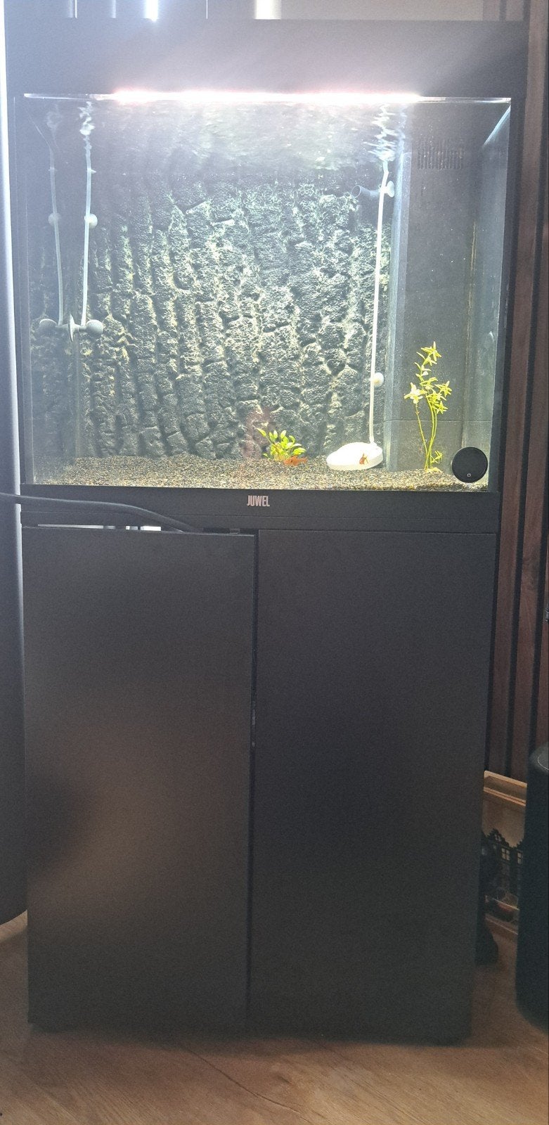 Juwel Lido 120 aquarium - compleet, Ophalen, Zo goed als nieuw, Leeg aquarium, Juwel