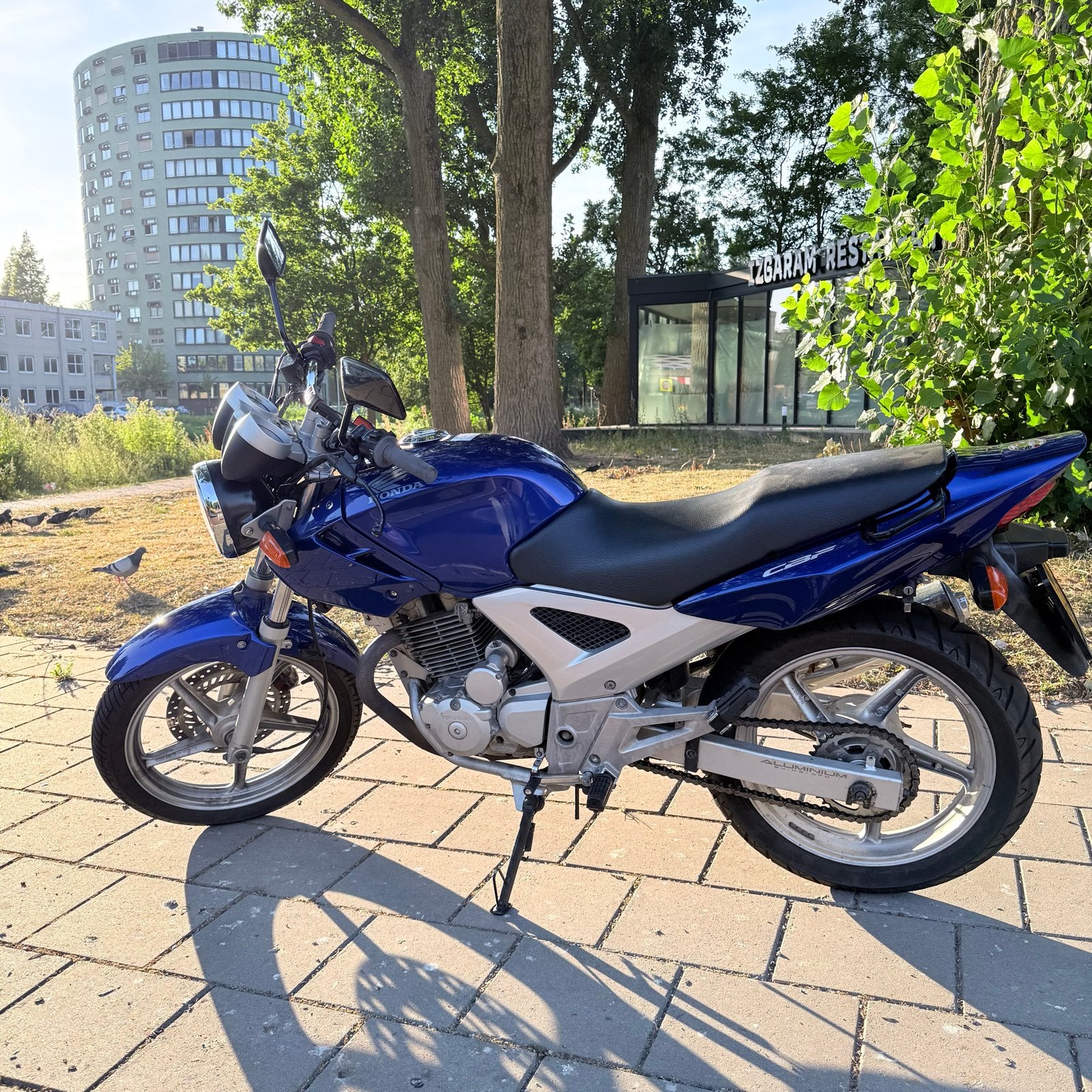 Honda CBF 250 - MOET SNEL WEG!, Motoren, Motoren | Honda, 250 cc, Gebruikt, Particulier, Minimaal motorrijbewijs A2