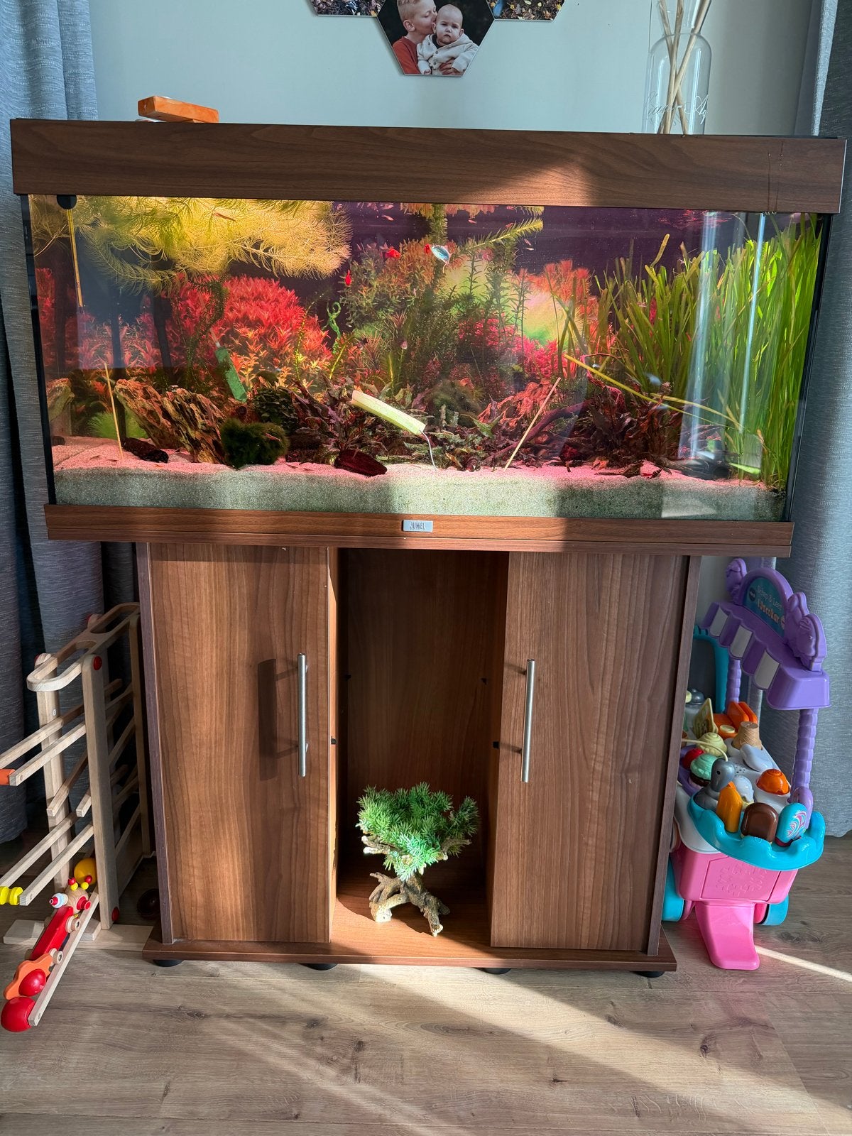 Jewel Rio 180 compleet, Ophalen, Gebruikt, Inclusief vissen, Gevuld zoetwateraquarium