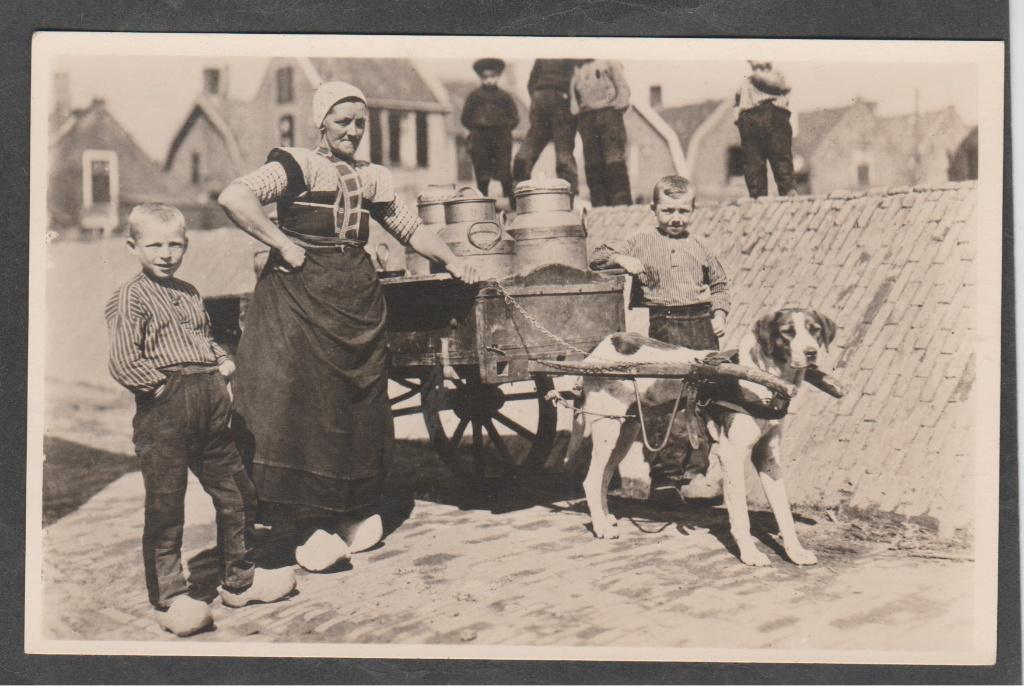 spakenburg  mensen in klederdracht en hondekar, Verzamelen, Verzenden, 1940 tot 1960, Ongelopen, Utrecht
