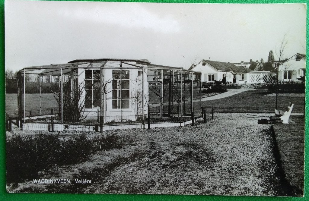 Waddinxveen, Volière. Klf, Verzenden, 1960 tot 1980, Ongelopen, Zuid-Holland