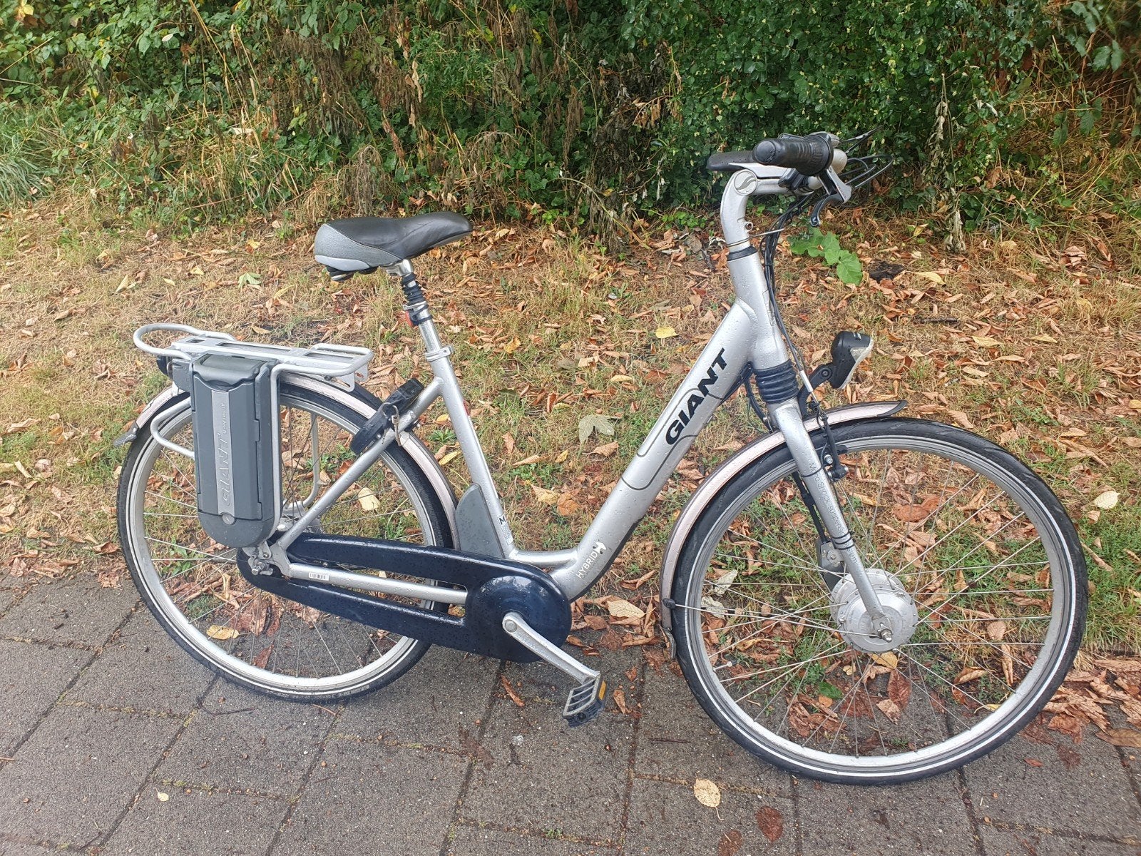 giant elektrische fiets, Ophalen, Zo goed als nieuw, Overige merken
