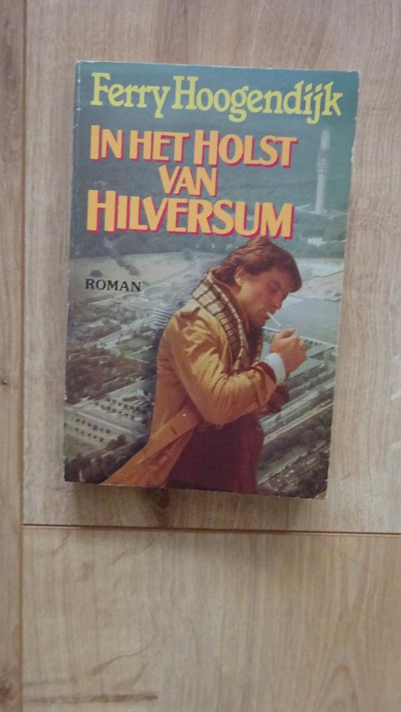 In het holst van Hilversum Ferry Hoogendijk 1982, Ophalen of Verzenden, Gelezen, Ferry Hoogendijk