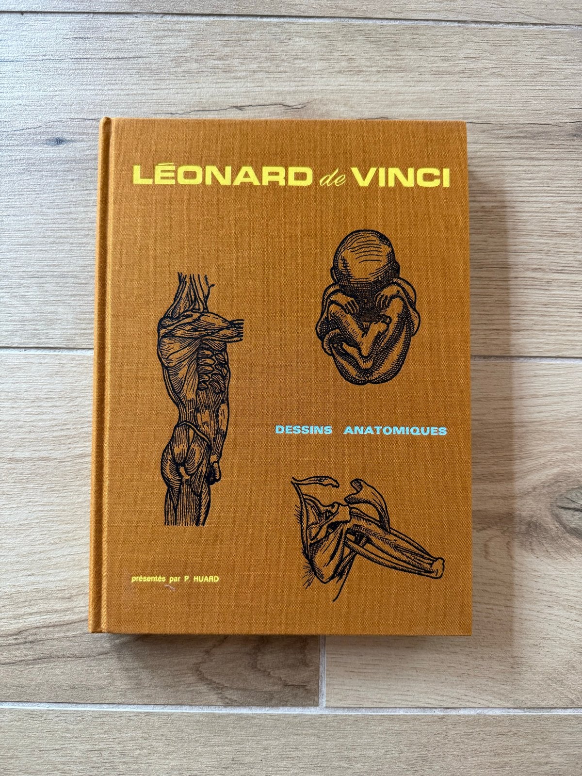 Leonardo da Vinci: Anatomische Tekeningen - Zeldzaam Boek, Ophalen of Verzenden, Zo goed als nieuw, Overige onderwerpen