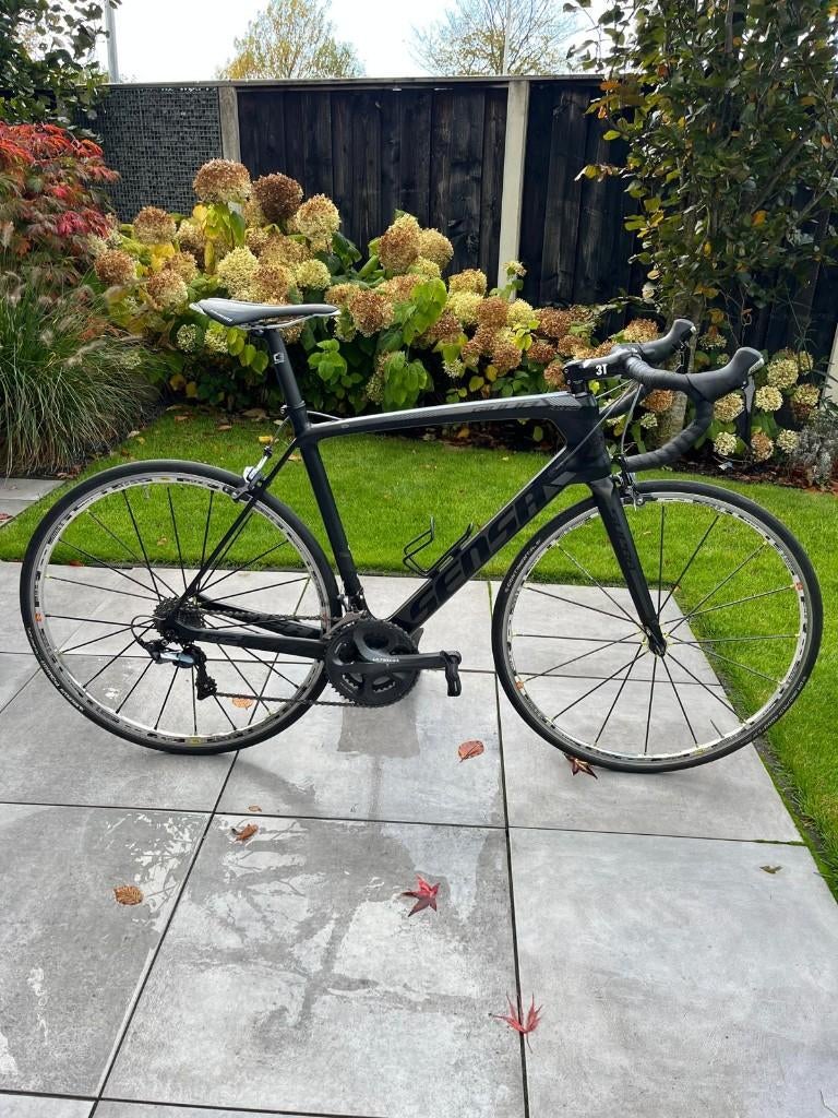 Sensa Giulia G2 - racefiets - Maat 54, Fietsen en Brommers, Fietsen | Racefietsen, 28 inch, Gebruikt, Carbon, Meer dan 20 versnellingen