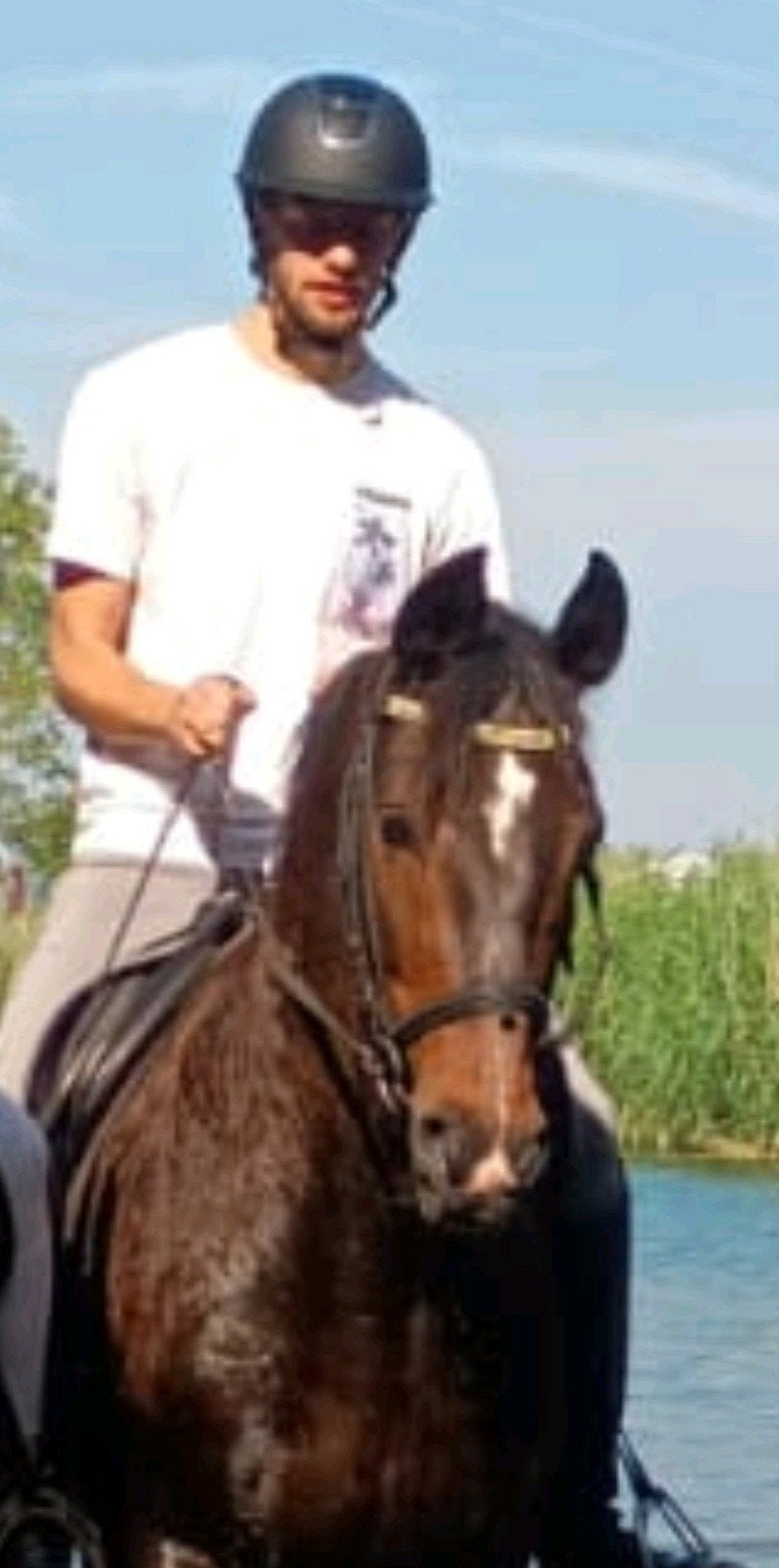 Superleuke 13-jarige ruin (1.69m) zoekt een nieuw maatje, Dieren en Toebehoren, Met stamboom, Ruin, 11 jaar of ouder, Recreatiepaard