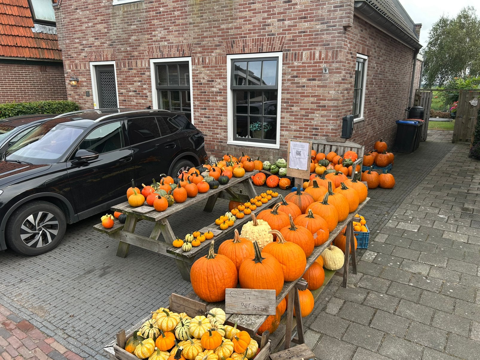 Pompoenen en kalebassen in diverse soorten en maten, Ophalen of Verzenden