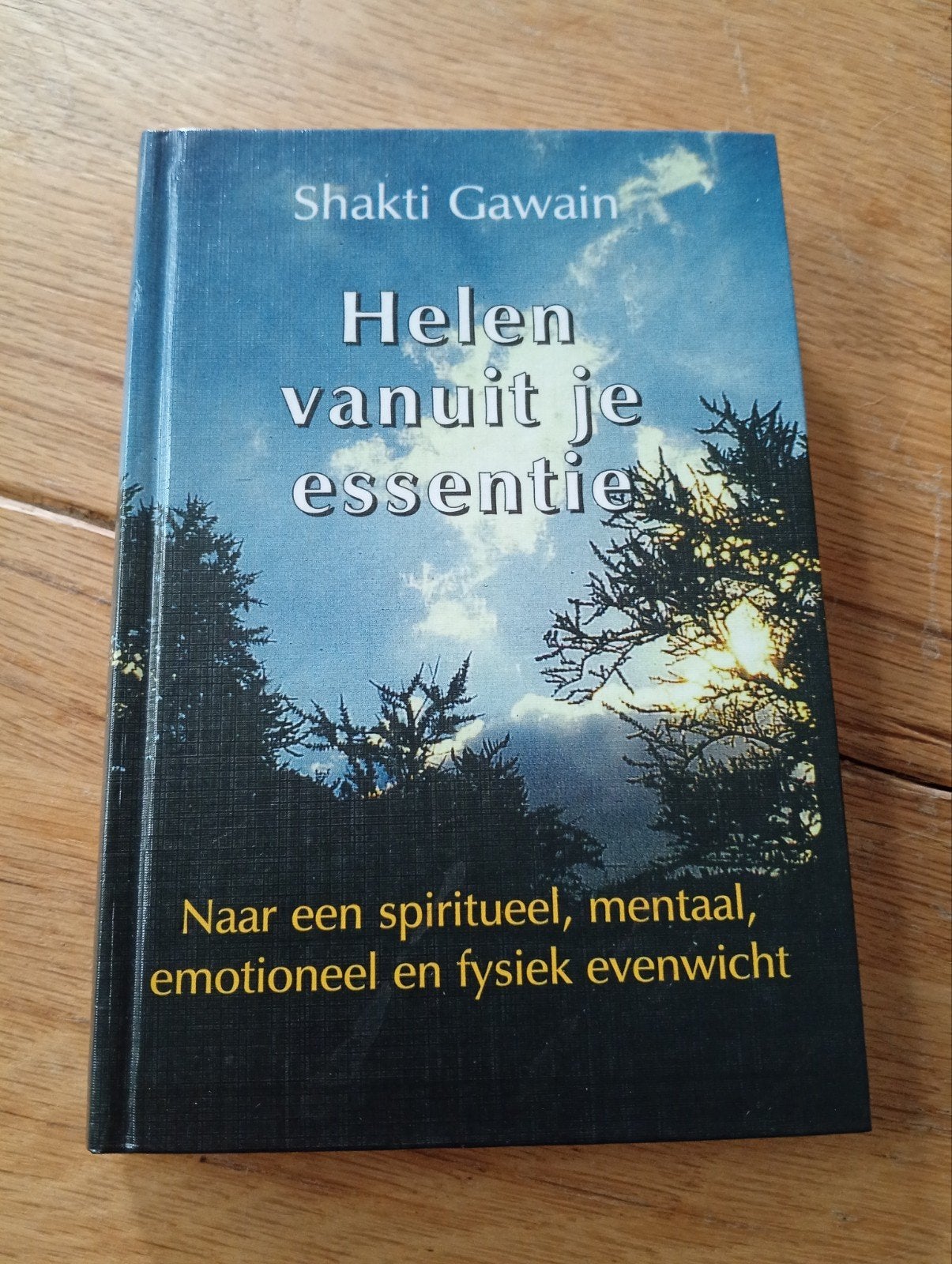 Helen vanuit je essentie - Shakti Gawain, Achtergrond en Informatie, Spiritualiteit algemeen, Shakti Gawain, Ophalen of Verzenden