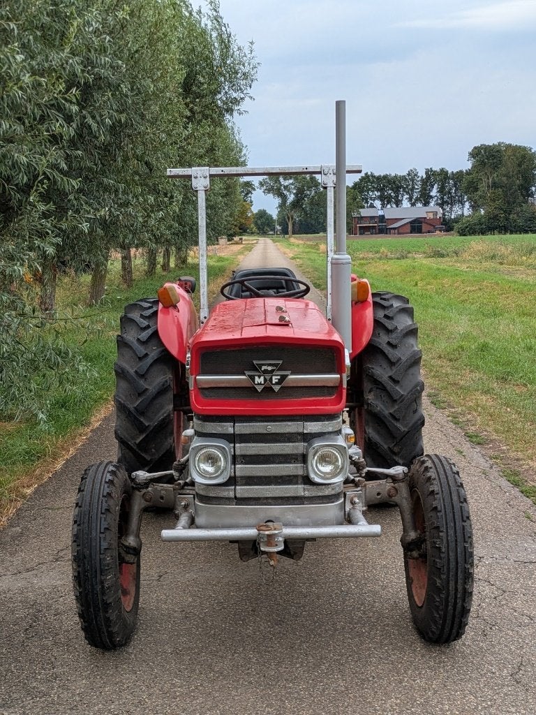 Massey Ferguson 135, Ophalen, -, -, Oldtimer