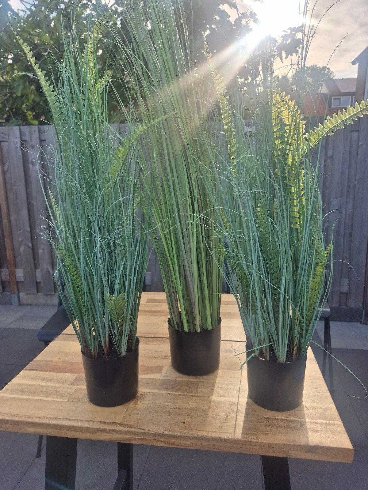 Set van 3 Kunstplanten - Gras en Varen in Pot, Groen, Onderhoudsvrij, Kunstplant, Ophalen of Verzenden