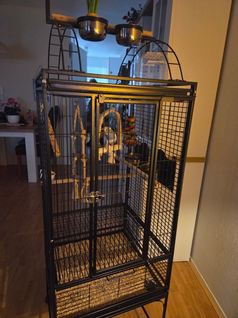 Prachtige en stevige in nieuwstaat staande vogelkooi, Ophalen, Zo goed als nieuw, Metaal, Vogelkooi
