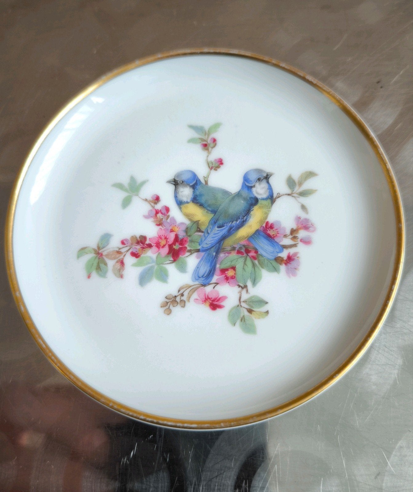 Kaiser Porzellan Vögel Blaumeise schotel 10cm Duitsland, Ophalen of Verzenden
