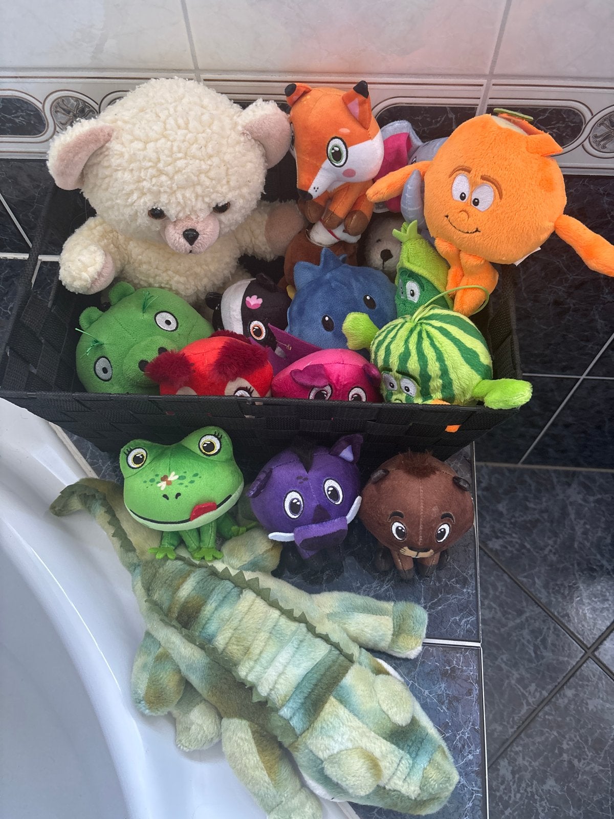 Grote collectie knuffels: beer, vos, kikker en meer!, Gebruikt, Beer, Ophalen of Verzenden, Middelgroot (20 tot 80 cm)