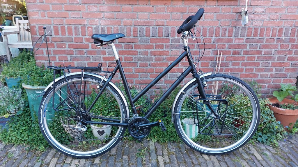 dames sportfiets Giant (Custom Lite of Expedition) 57 cm, Ophalen, 28 inch, Gebruikt, Velgrem