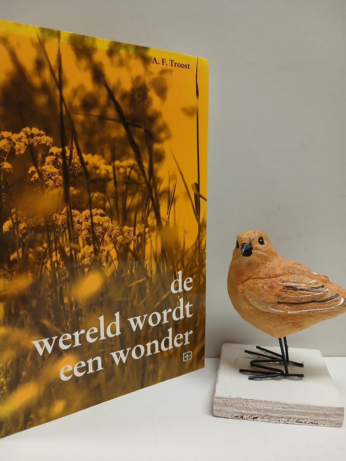 Troost, Ds. A.F.; De wereld wordt een wonder, Boeken, Ophalen of Verzenden, Gelezen, Christendom | Protestants