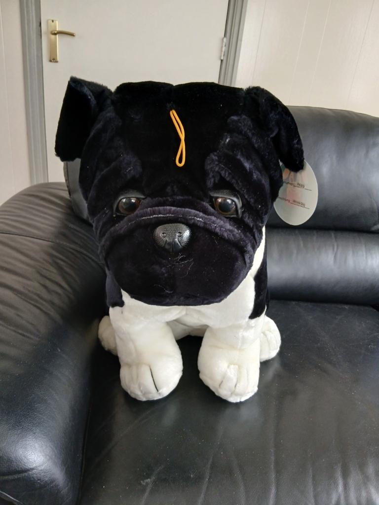 Pluche Hond, Ophalen of Verzenden, Hond