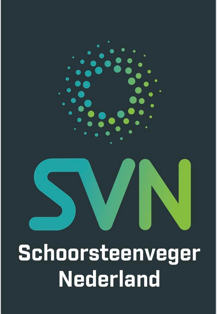 Schoorsteenveger Nederland, Schoorsteenvegen