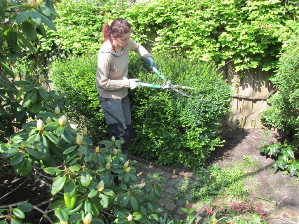 Ervaren tuinvrouw - onkruid verwijderen, tuinonderhoud, Ophalen, Overige soorten, Volle zon