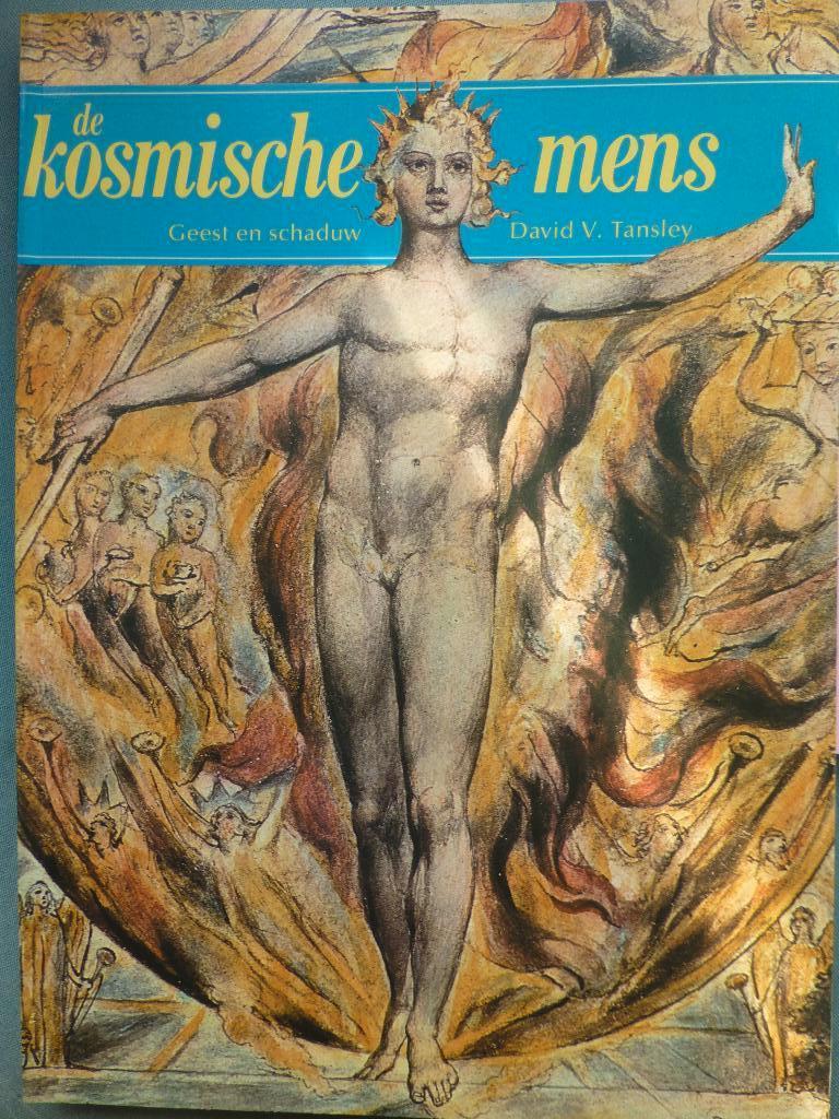 De kosmische mens. Geest en schaduw. David V. Tansley., Boeken, Ophalen of Verzenden, Zo goed als nieuw, Overige onderwerpen, David V. Tansley.