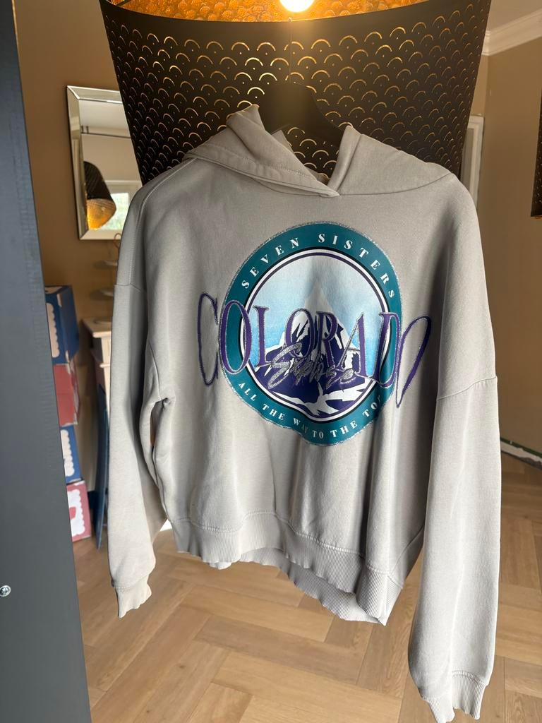 Grijze The Sting Hoodie - Maat M, Ophalen of Verzenden, Gedragen, Maat 38/40 (M), Grijs