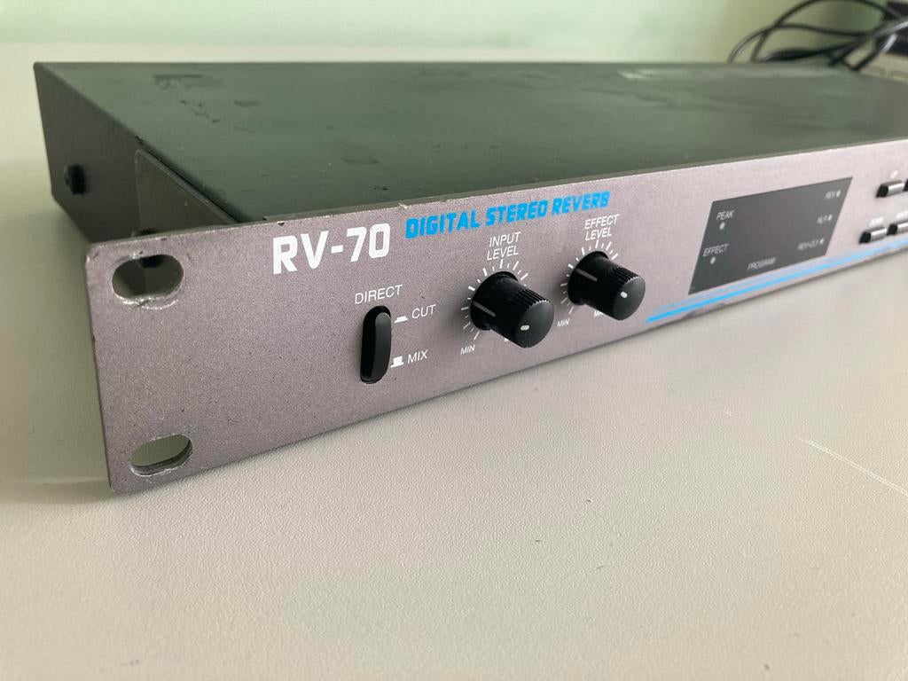 Boss RV-70 Digital Delay, Muziek en Instrumenten, Effecten, Ophalen of Verzenden, Gebruikt