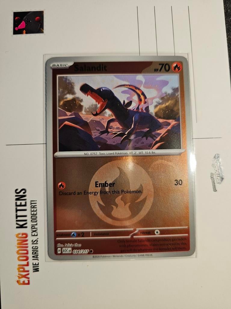 Salandit Energy 034/217 Ascended Heroes Pokémonkaart, Ophalen of Verzenden, Nieuw, Losse kaart, Foil