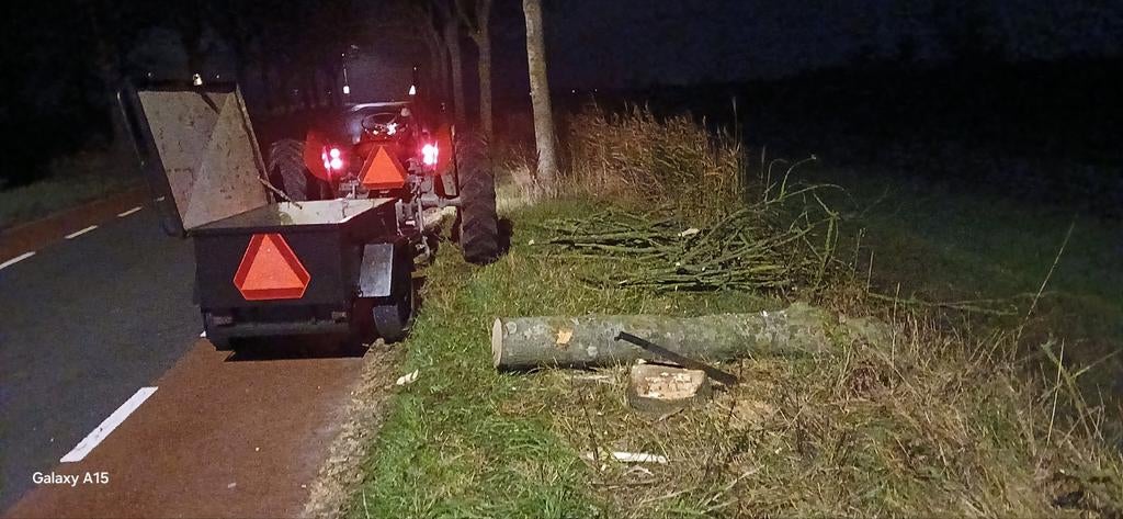 Boomen en struiken verwijderen, Ophalen of Verzenden