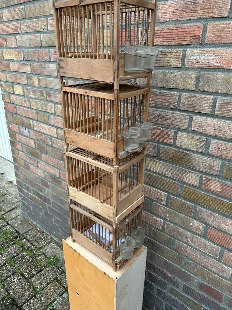 Zang Vogel kooien, Dieren en Toebehoren, Ophalen, Hout, Vogelkooi