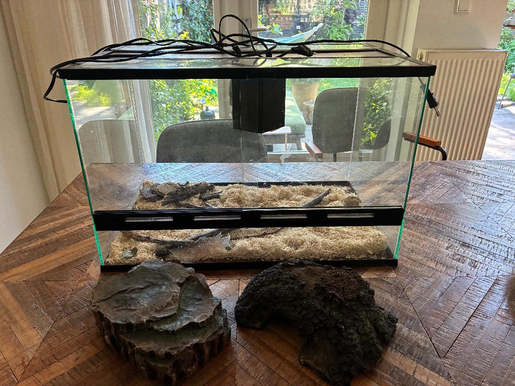 Terrarium van glas voor reptielen, Ophalen, Zo goed als nieuw, Terrarium of Paludarium