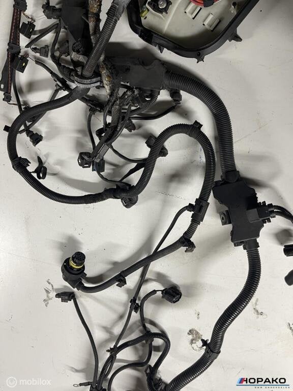 Motorkabelboom BMW 535D N57D30B F10 F11 etc - 759045906, Gebruikt, Einsteinlaan 5 rijswijk, Bmw, Ophalen of Verzenden