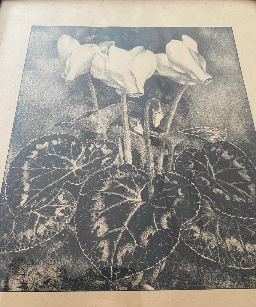 Jan Voerman jr. litho Cyclamen, Ingelijst, Verzenden, Overige onderwerpen, Lithografie