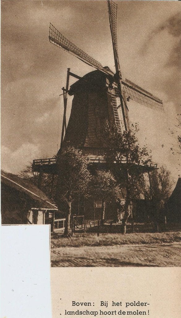 Oudorp bij Alkmaar molen Het Roode Hert knipsel 1940, Verzamelen, Gebruikt, Ophalen of Verzenden, 1940 tot 1960, Gebouw