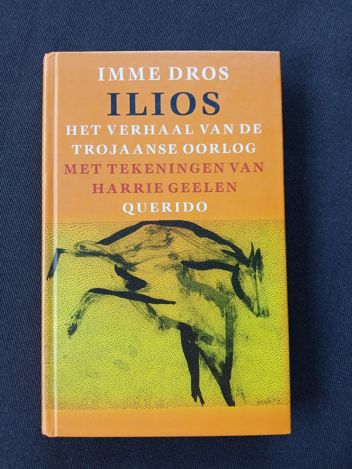 Ilios - Imme Dros - 9789021460468, Ophalen of Verzenden, Zo goed als nieuw, Imme Dros
