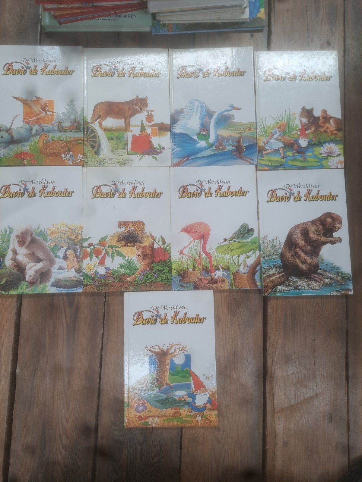 De Wereld van David de Kabouter - inComplete Collectie, Boeken, Ophalen of Verzenden, Zo goed als nieuw, Wil Huygen, Sprookjes