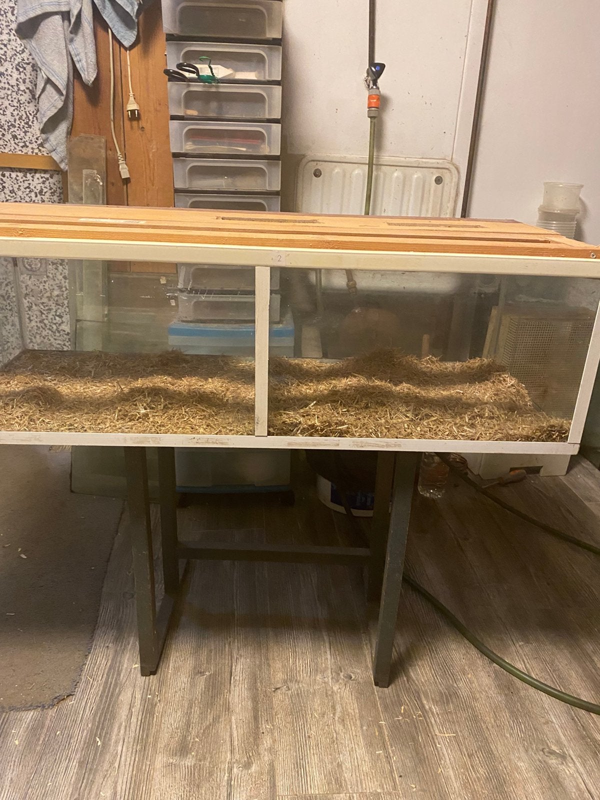 Hamster aquarium 100 x 40 cm, Dieren en Toebehoren, Gebruikt, 75 tot 110 cm, Ophalen, Minder dan 60 cm
