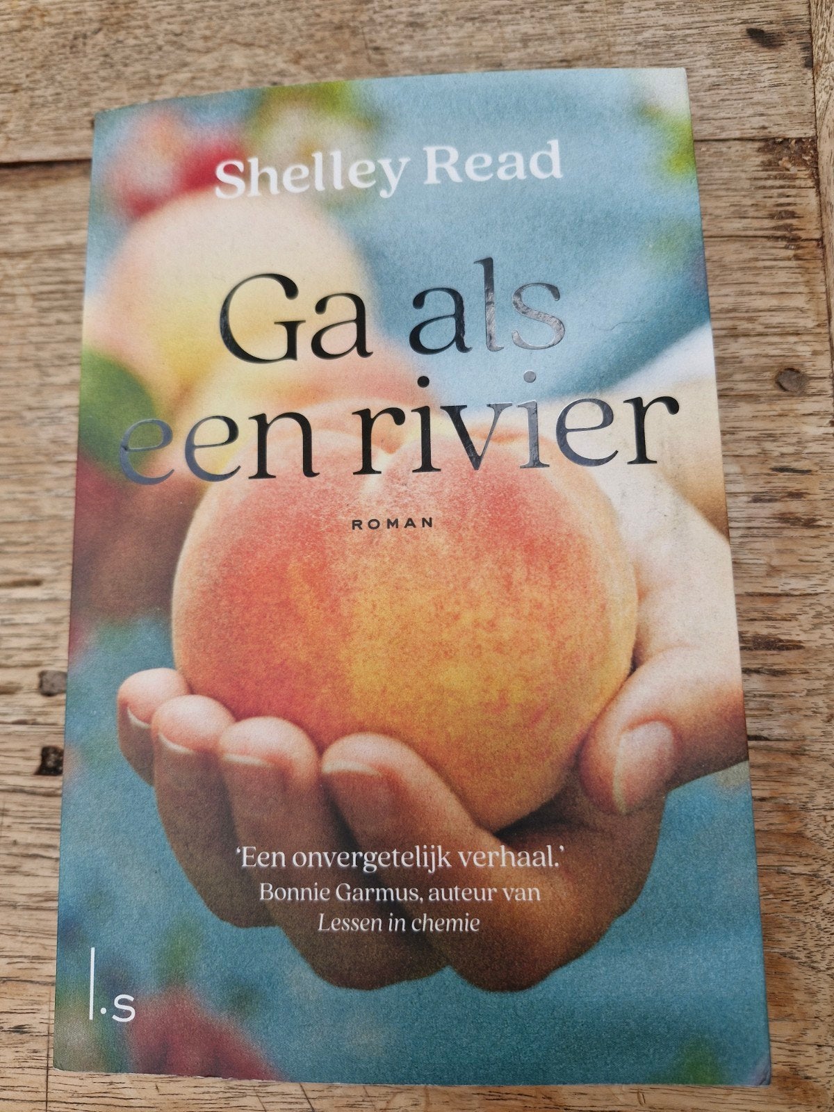 Shelley Read - Ga als een rivier, Ophalen of Verzenden, Zo goed als nieuw, Shelley Read