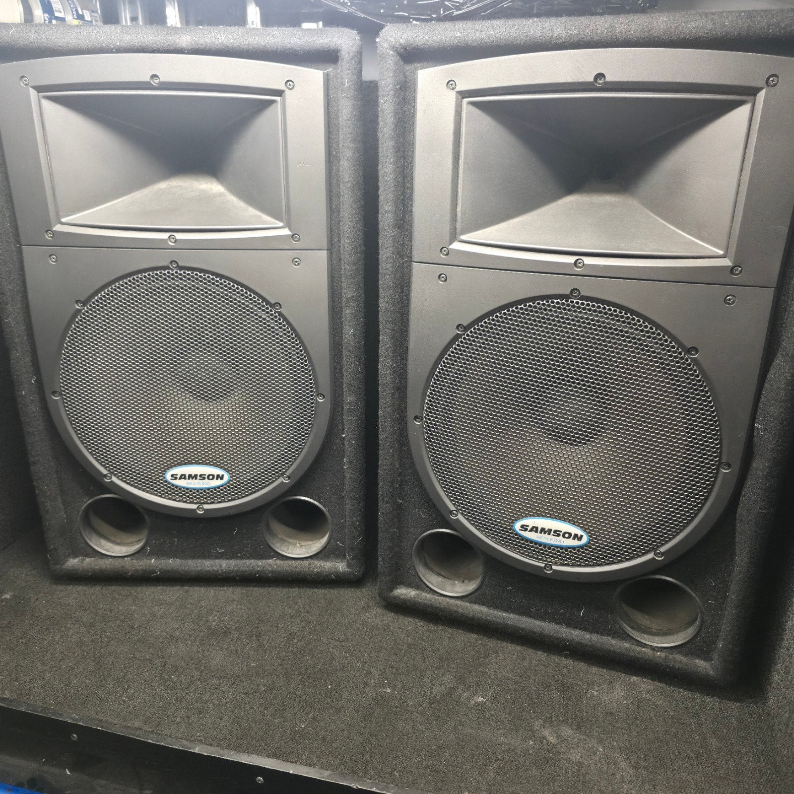 SAMSON  RS12  resound 12 inch speakers