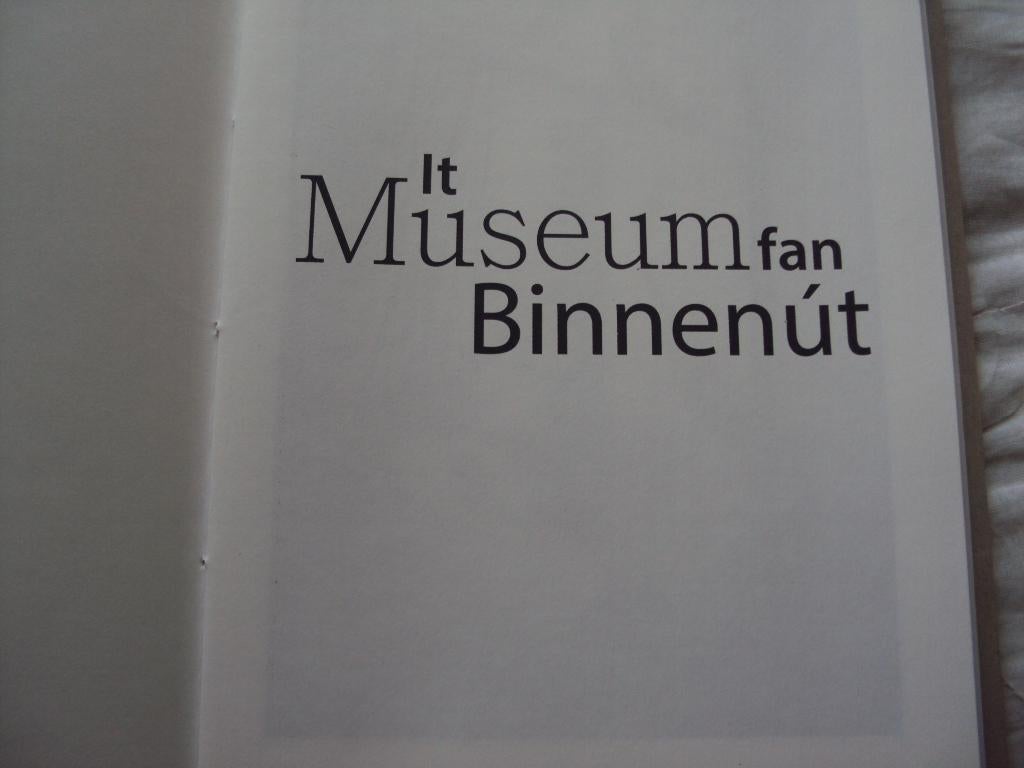 Het Museum van Binnenuit / it Museum fan Binnenút, Diverse auteurs, Ophalen of Verzenden, Zo goed als nieuw, Schilder- en Tekenkunst