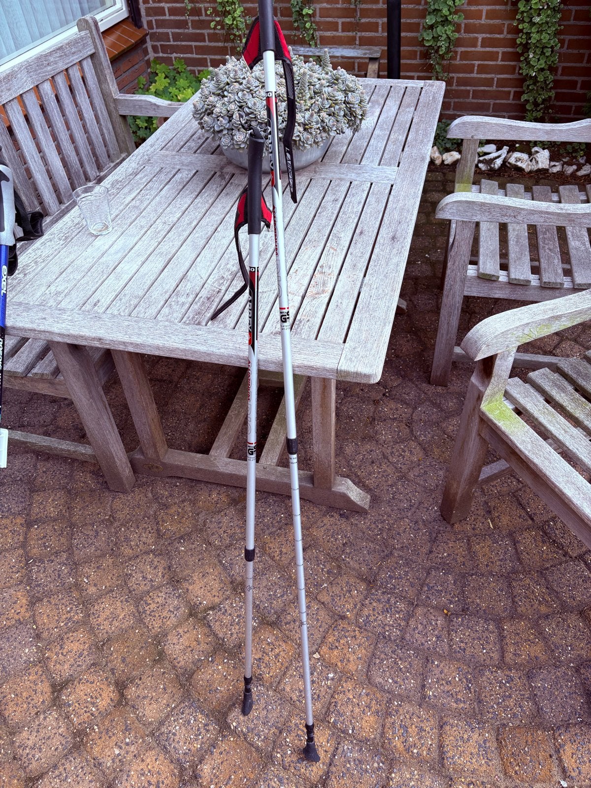 Nordic Walking Stokken - Zo goed als nieuw, Ophalen, Zo goed als nieuw, Wandelstok