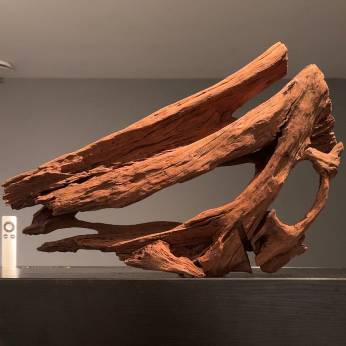XL Stuk Kienhout / Spiderwood / Driftwood, Hout Decoratie, Ophalen of Verzenden, Zo goed als nieuw, Plant(en), Steen of Hout