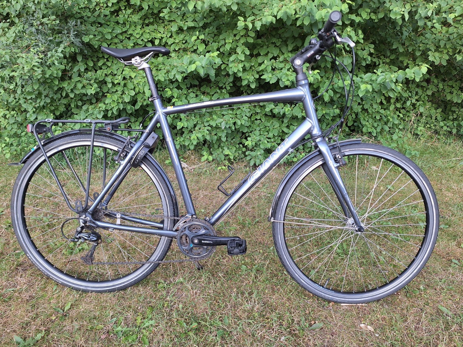 Giant Ligero RS2  maat XL, Ophalen, 28 inch, Gebruikt, Velgrem