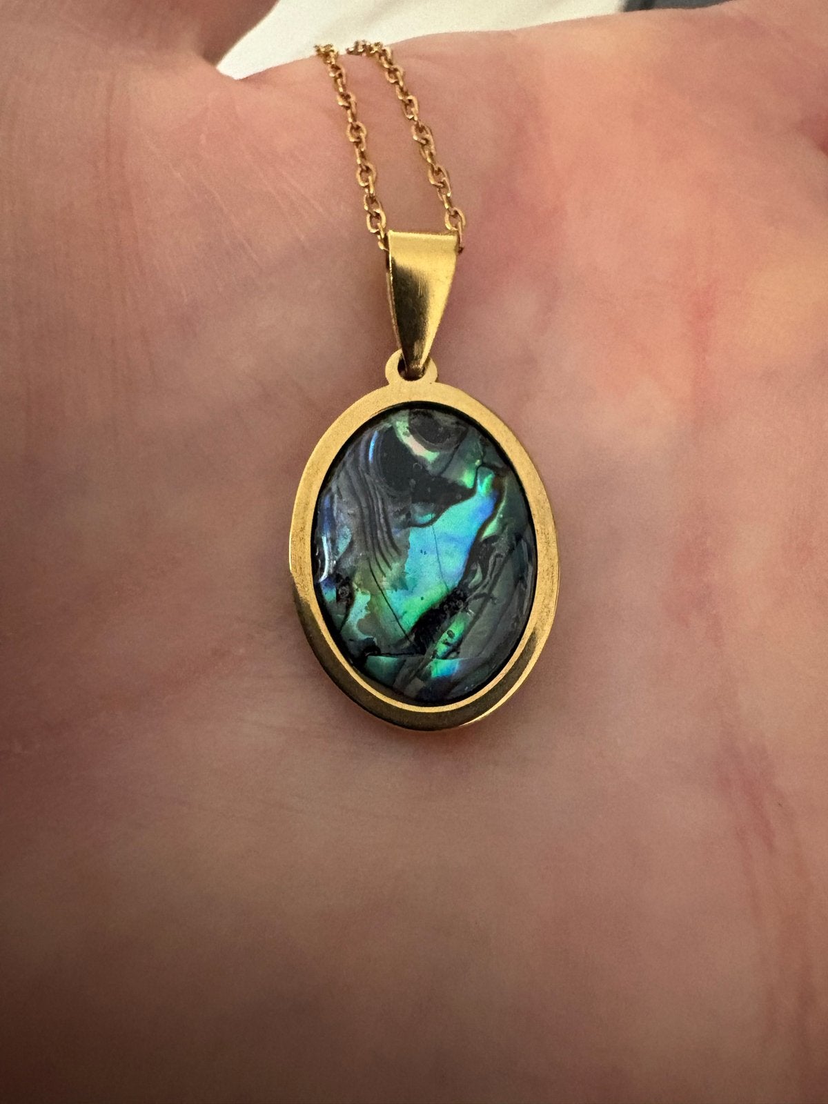 Abalone schelp hanger ketting - Goudkleurig RVS, Nieuw, Cariadgems@hotmail.com, Ophalen of Verzenden, Cariad Gems